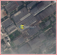 Bion-M